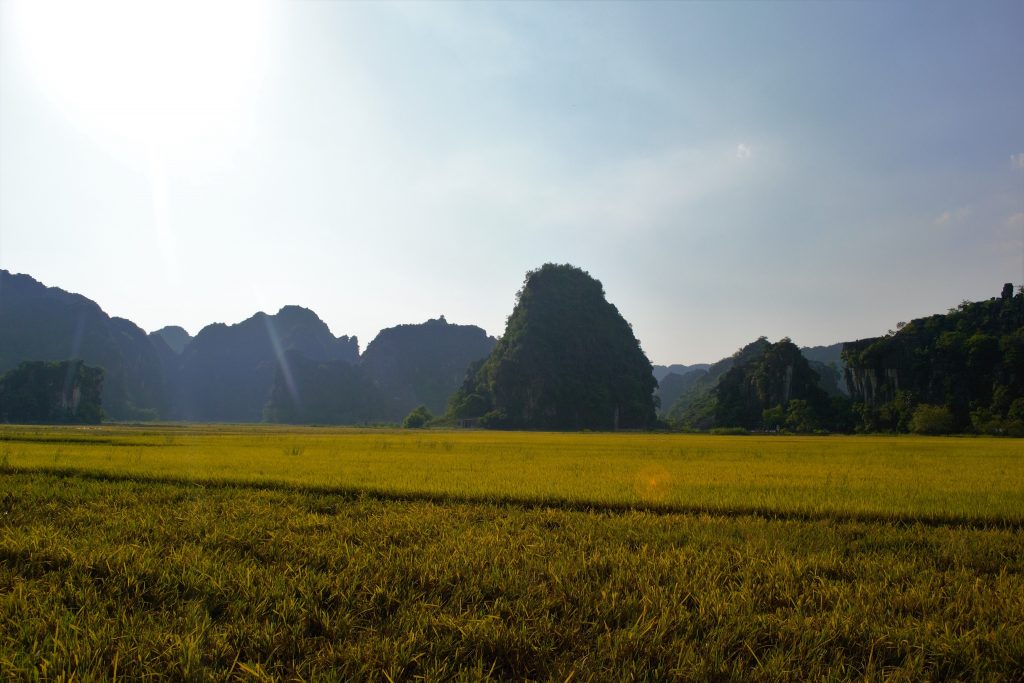 Tam Coc